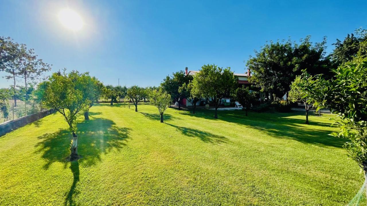 Villetta Bianca Pisticci-Matera Eksteriør billede